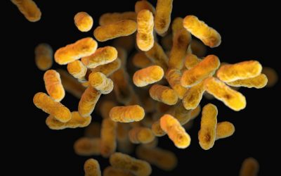 Aplicación exitosa de probióticos tópicos en la curación de úlceras crónicas